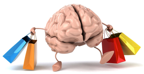 Lee más sobre el artículo ¡Cómo decide el cliente comprar? conócelo ya: NEUROCiencia